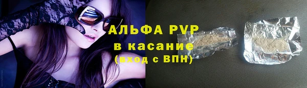 стаф Богородск