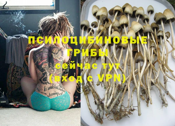 mdma Богданович