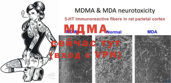 mdma Богданович