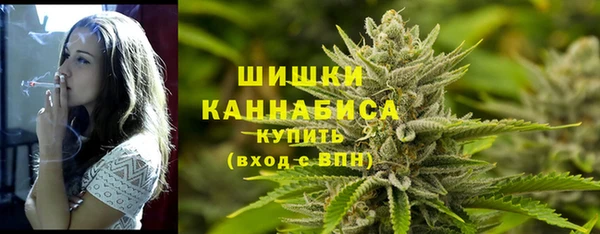 хмурый Богородицк