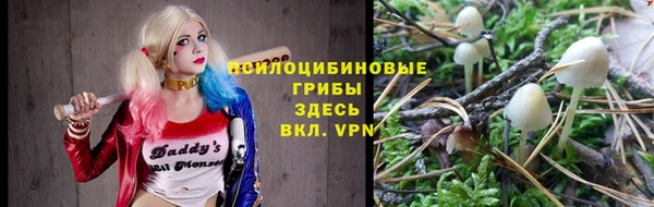 mdma Богданович
