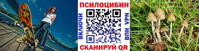 Псилоцибиновые грибы Psilocybine cubensis  закладки  Ангарск 